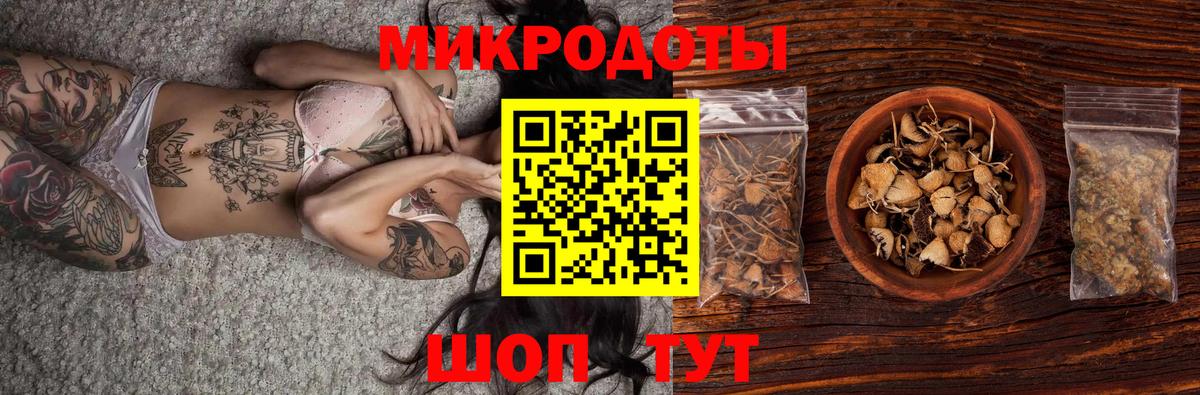 Великие Луки  Псилоцибиновые грибы Cubensis  Вход с VPN 
